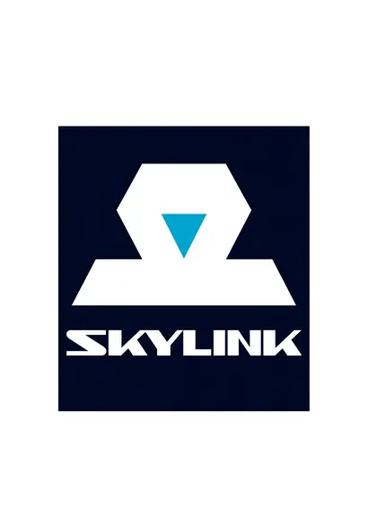 Skylink channel
